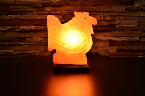 Hen Shaped Lamps - - Hub Salt eShop