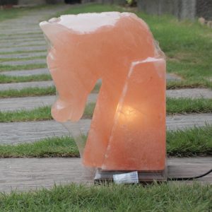 Himalayan Pink Salt Horse Shaped Lamp - Hub Salt eShop