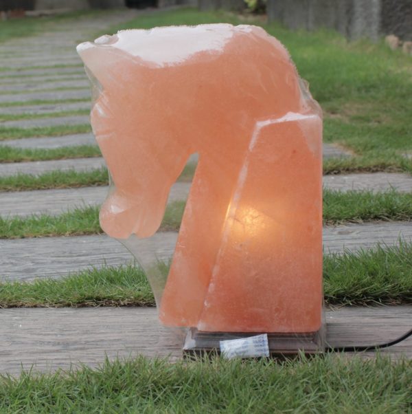 Himalayan Pink Salt Horse Shaped Lamp - Hub Salt eShop