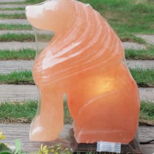 Himalayan Pink Salt Lion Shaped Lamp - Hub Salt eShop