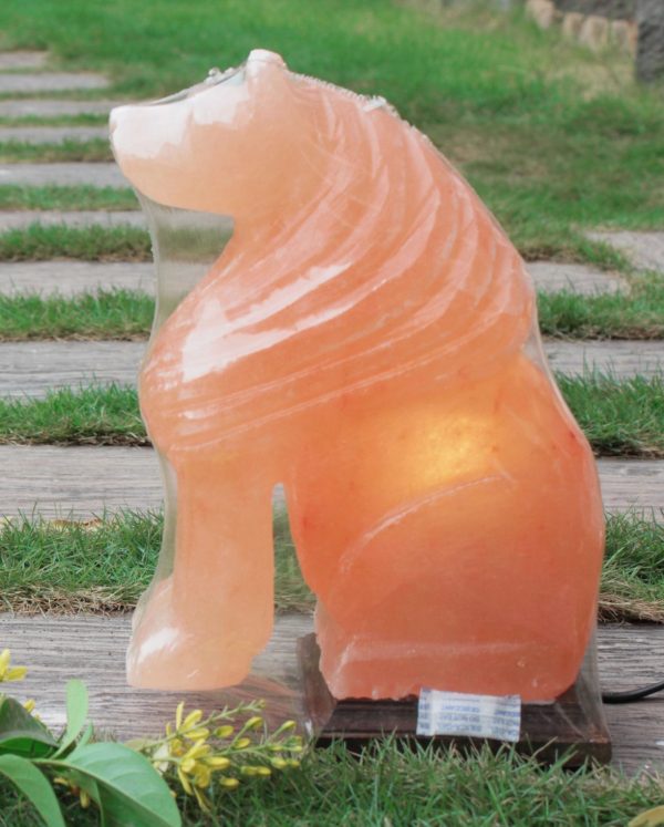 Himalayan Pink Salt Lion Shaped Lamp - Hub Salt eShop