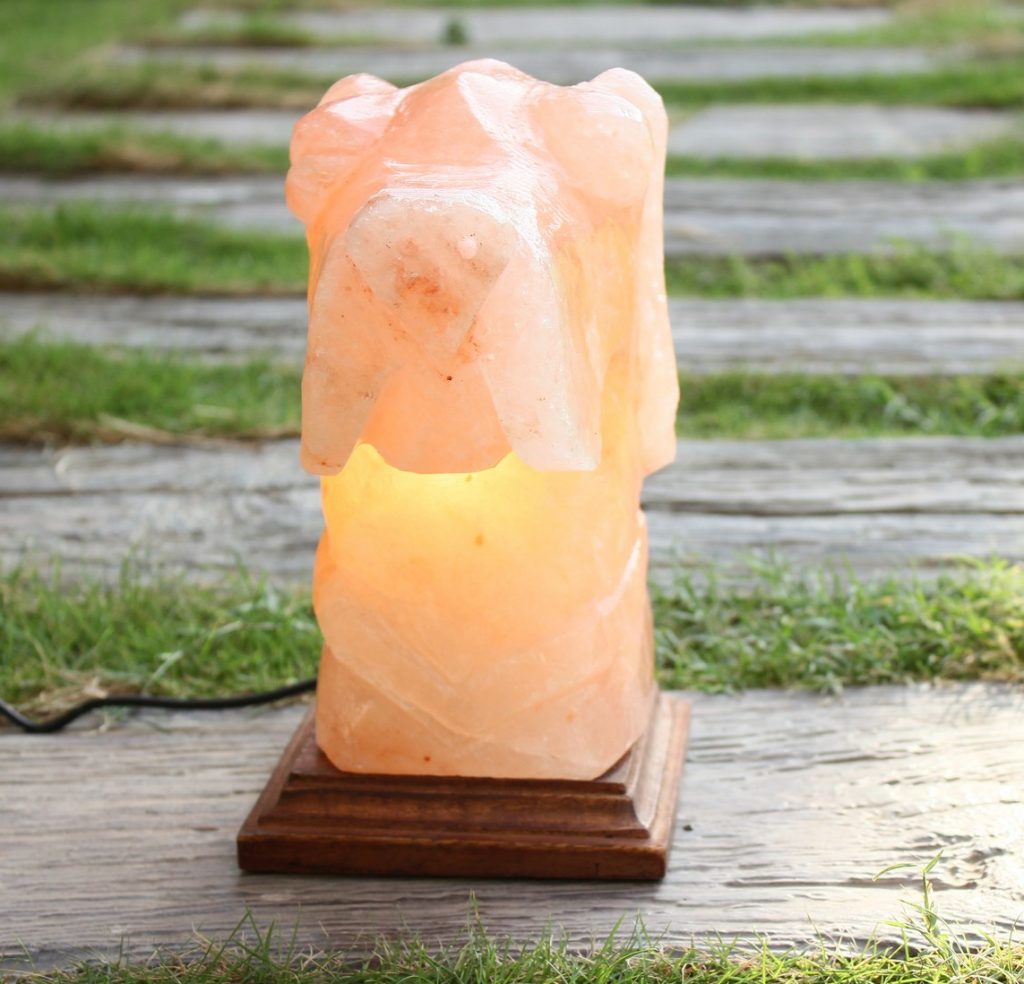 Himalayan Pink Salt Dog Shaped Lamp Salt lamps in Pakistan