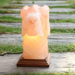 Himalayan Pink Salt Dog Shaped Lamp - Hub Salt eShop