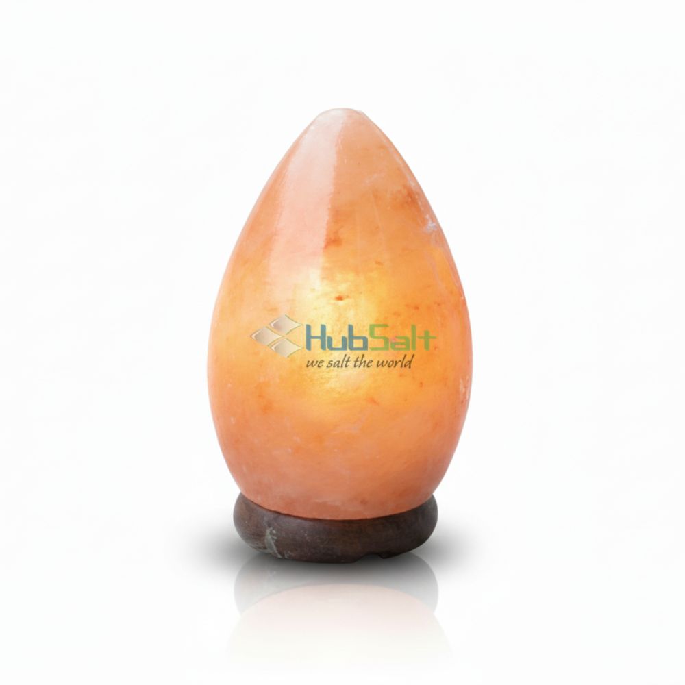 Pink Salt Egg Lamp
