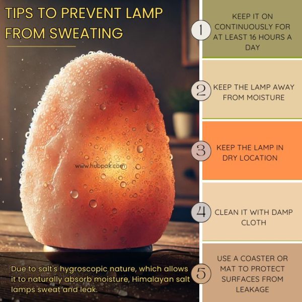 Himalayan Pink Salt Shade Lamp - Image 2