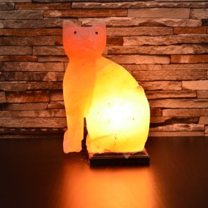 cat-salt-lamp