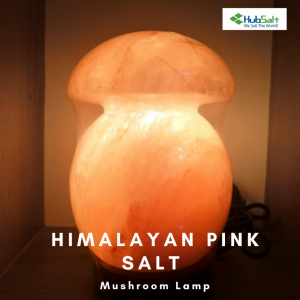 Himalayan Pink Salt Mushroom Lamp