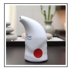 Salt Inhaler